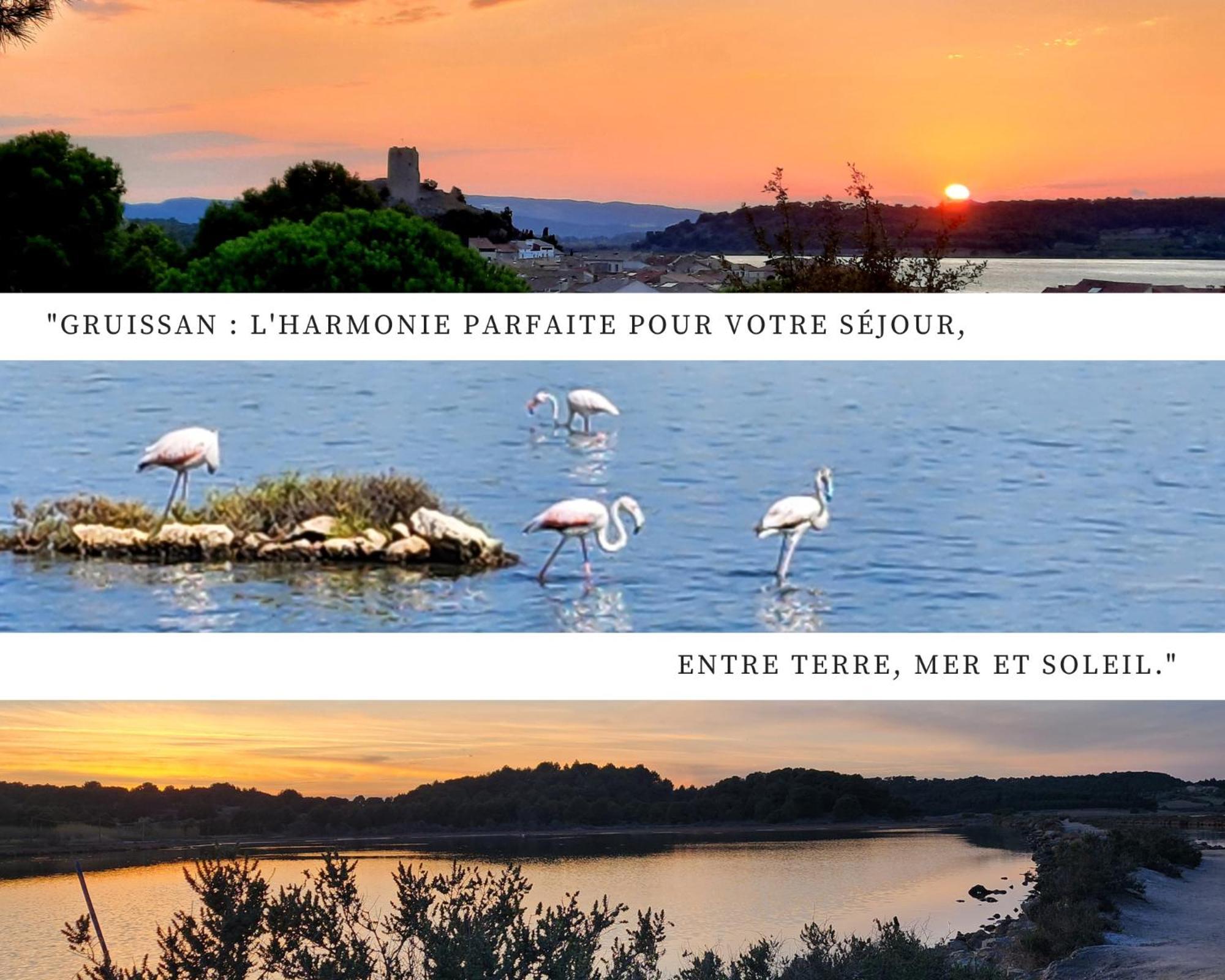 L'Eden - Vue Magnifique Sur Le Port, Les Chalets & La Mer - Gruissan Exterior foto